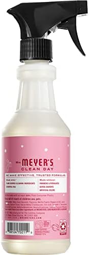 Mrs Meyers Peppermint Cleaning Set 3 CT