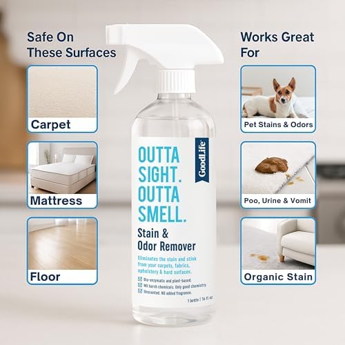 Good Life Solutions Natural Stain Remover Spray 16 oz