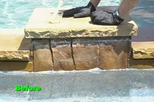 Piranha Water Pool Stain Remover 32 oz