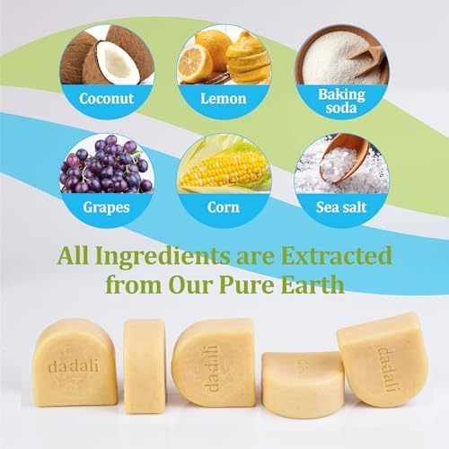 Dadali Natural Solid Dish Soap Bar - 25oz Pack of 5 Biodegradable Eco-Friendly
