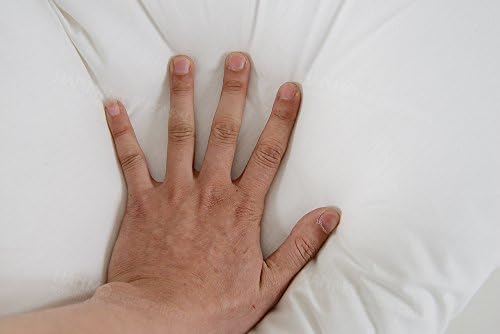 Cheer Collection Plush Wedge Pillow for Reading and Sleep Elevation