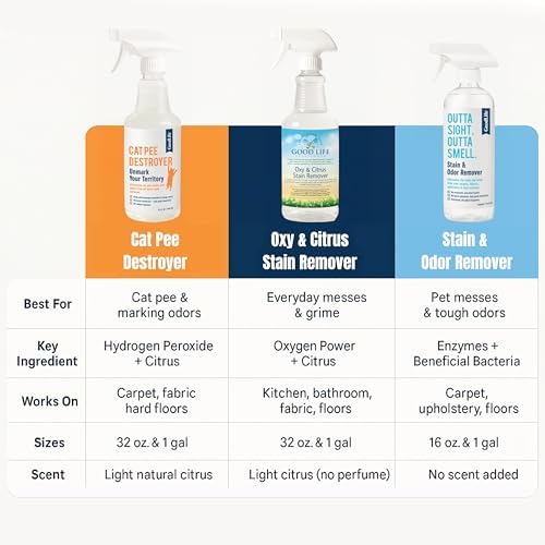 Good Life Solutions Natural Stain Remover Spray 16 oz