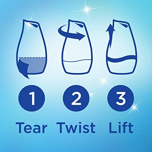 Renuzit Adjustable Air Freshener After the Rain Scent