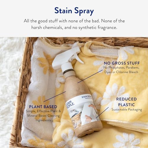 THE CLEAN PEOPLE Stain Remover Spray 16oz 2 Pack 1