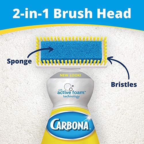 Carbona 2 in 1 Oxy-Powered Pet Stain Remover