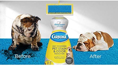 Carbona 2 in 1 Oxy-Powered Pet Stain Remover