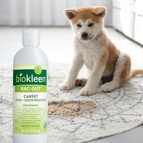 Biokleen Bac-Out Carpet Stain Remover Enzymatic