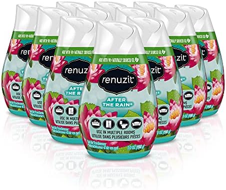 Renuzit Adjustable Air Freshener After the Rain Scent