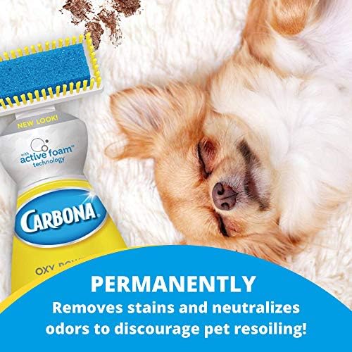 Carbona 2 in 1 Oxy-Powered Pet Stain Remover