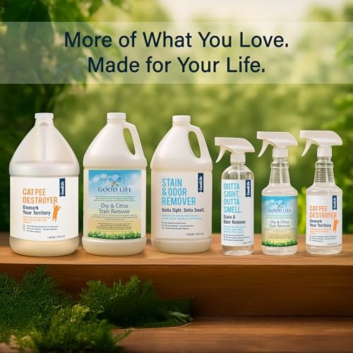 Good Life Solutions Natural Stain Remover Spray 16 oz