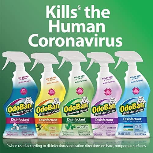 OdoBan Ready-to-Use Disinfectant with Eucalyptus Scent 32 Ounce