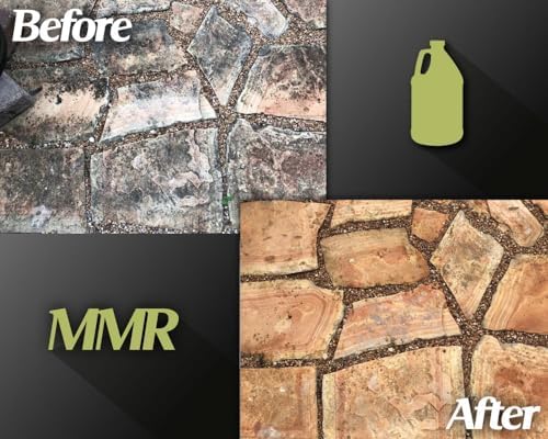 Bad Axe MMR Mold Stain Remover - 1 Gallon 1