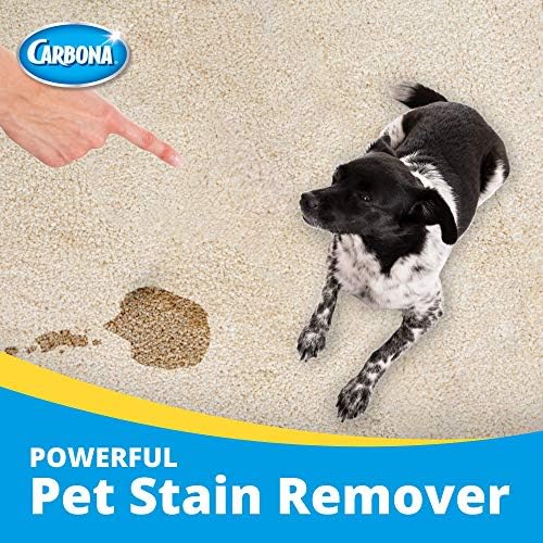 Carbona 2 in 1 Oxy-Powered Pet Stain Remover