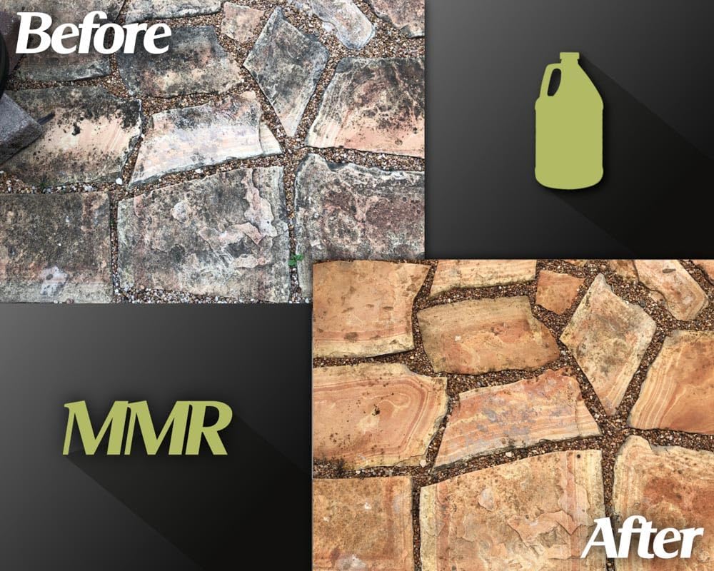 Bad Axe MMR Mold Stain Remover - 1 Gallon 1