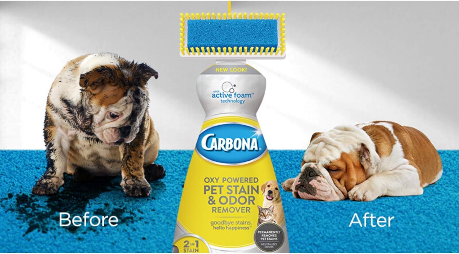 Carbona 2 in 1 Oxy-Powered Pet Stain Remover