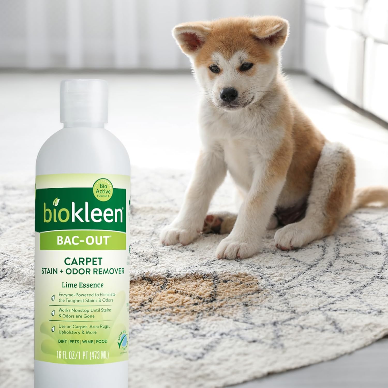 Biokleen Bac-Out Carpet Stain Remover Enzymatic