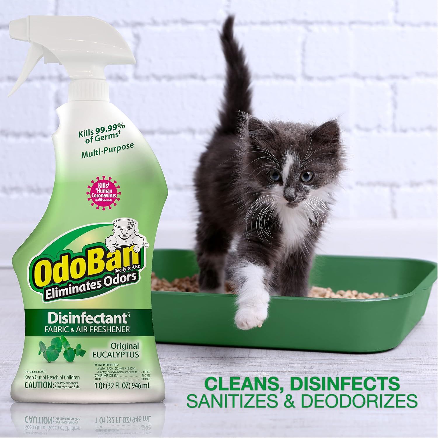 OdoBan Ready-to-Use Disinfectant with Eucalyptus Scent 32 Ounce