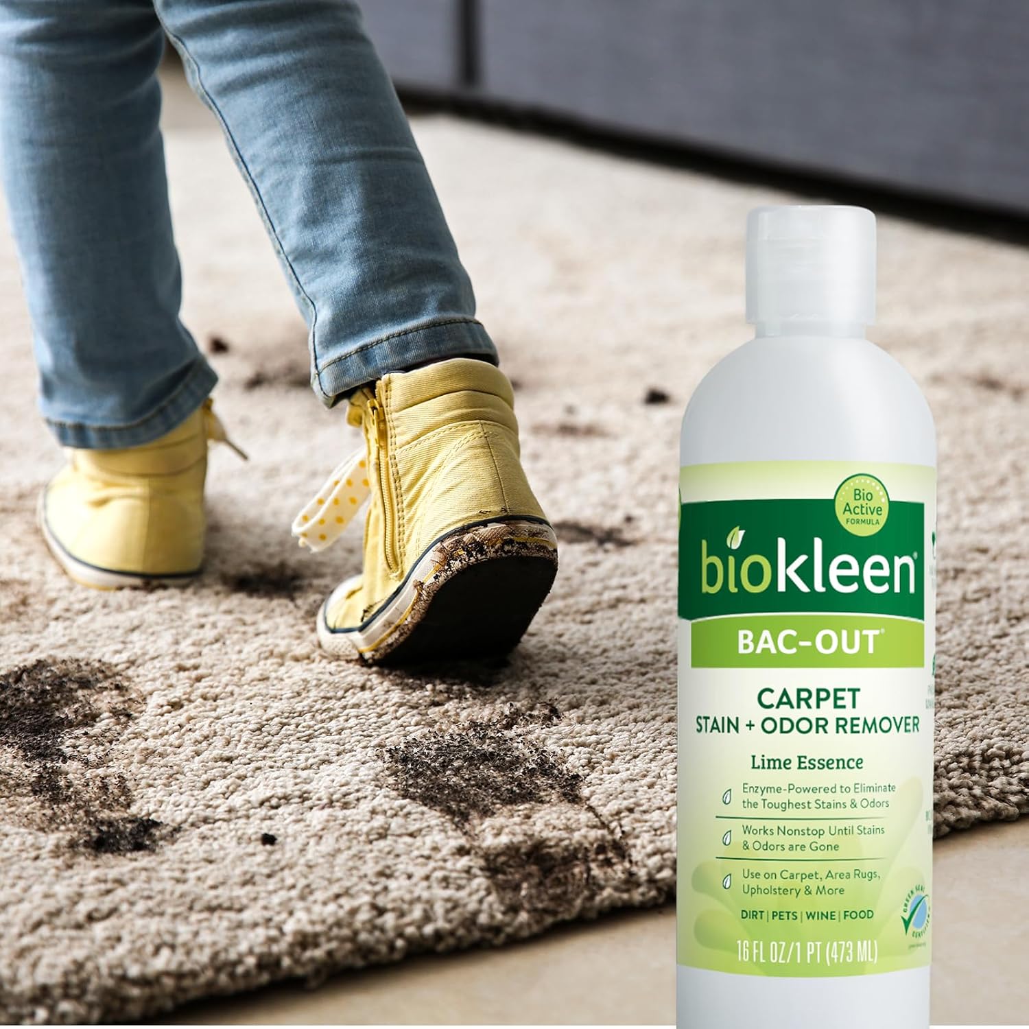 Biokleen Bac-Out Carpet Stain Remover Enzymatic