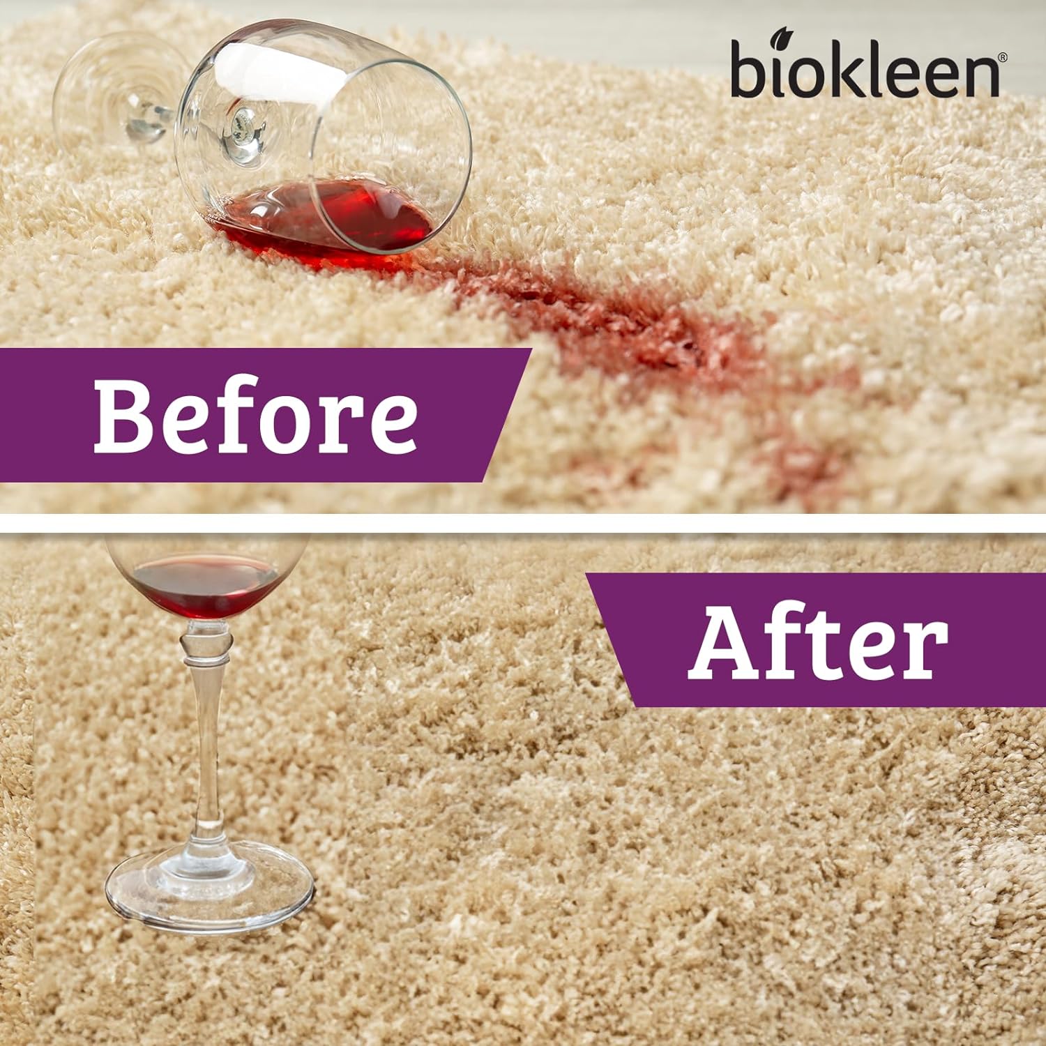 Biokleen Bac-Out Carpet Stain Remover Enzymatic